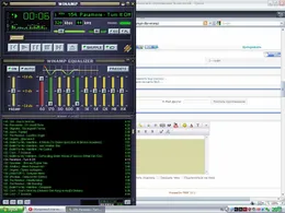 Winamp — скриншот 2